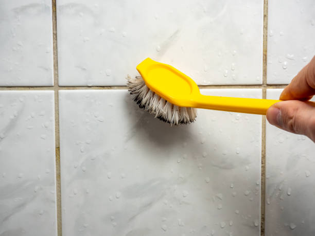 Best Attic Mold Removal  in Sussex, WI