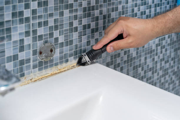 Best Residential Mold Removal  in Sussex, WI