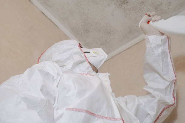 Best Professional Mold Removal  in Sussex, WI
